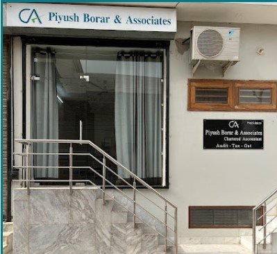 CA Piyush Borar & Associates