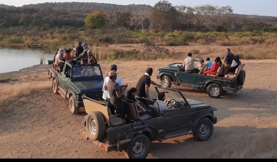 The Ranthambore Tour Travel