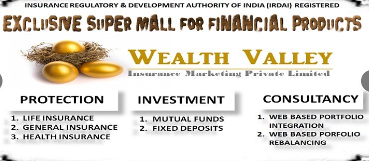 Wealth Valley