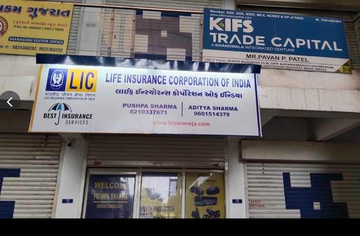 Best Insurance Services Maneja