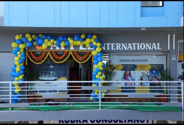 APPLE INTERNATIONAL Travel & Immigration