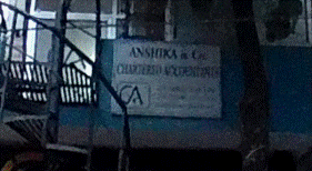 Anshika & Co.