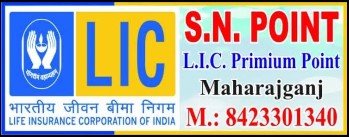 SN LIC PREMIUM POINT