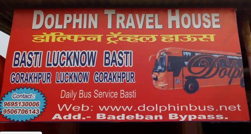 Dolphin Travel house