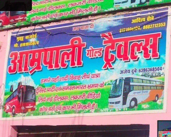 Amrapali Gold Tour&Travels