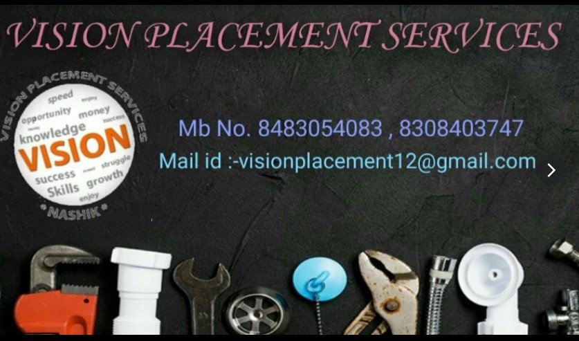 VISION PLACEMENT SERVICES