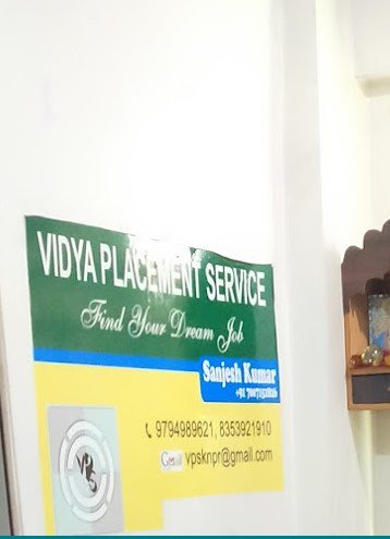 Vidya Placement Service